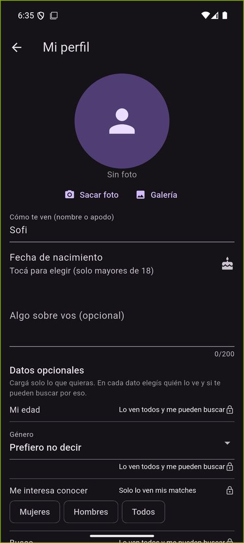Armar el perfil para conocer gente